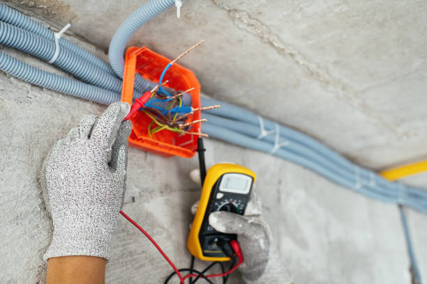Best Electric Panel Repair  in Craigsville, WV